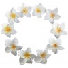 011 0770 Floating Flowers A Set 10